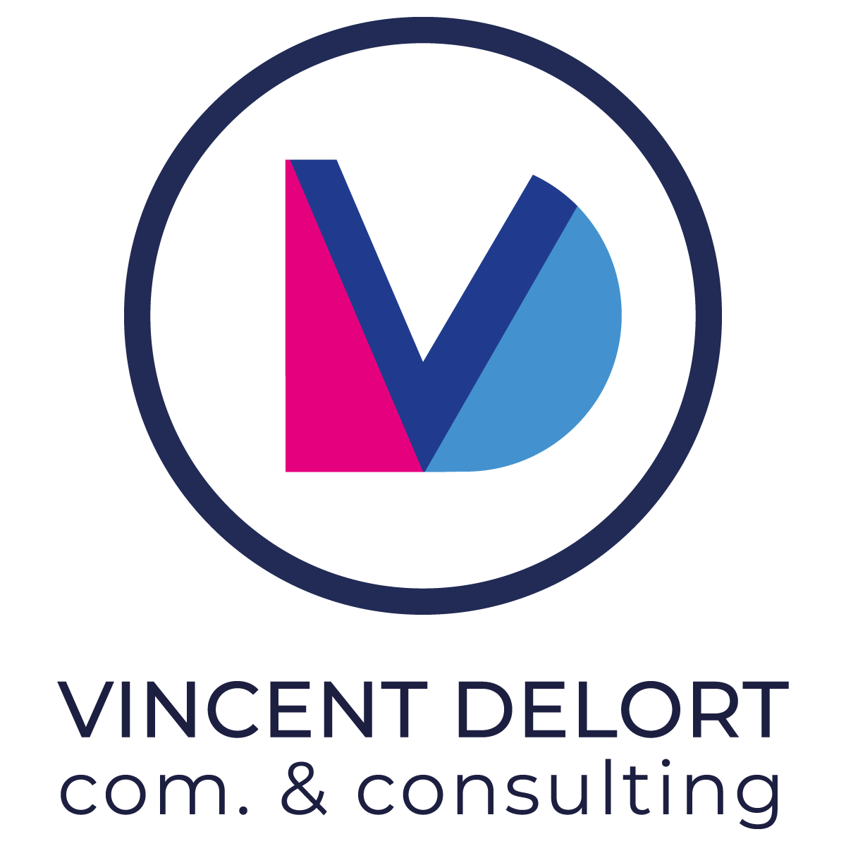 Logo Vincent Delort
